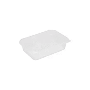 satco containers & lids 500ml
